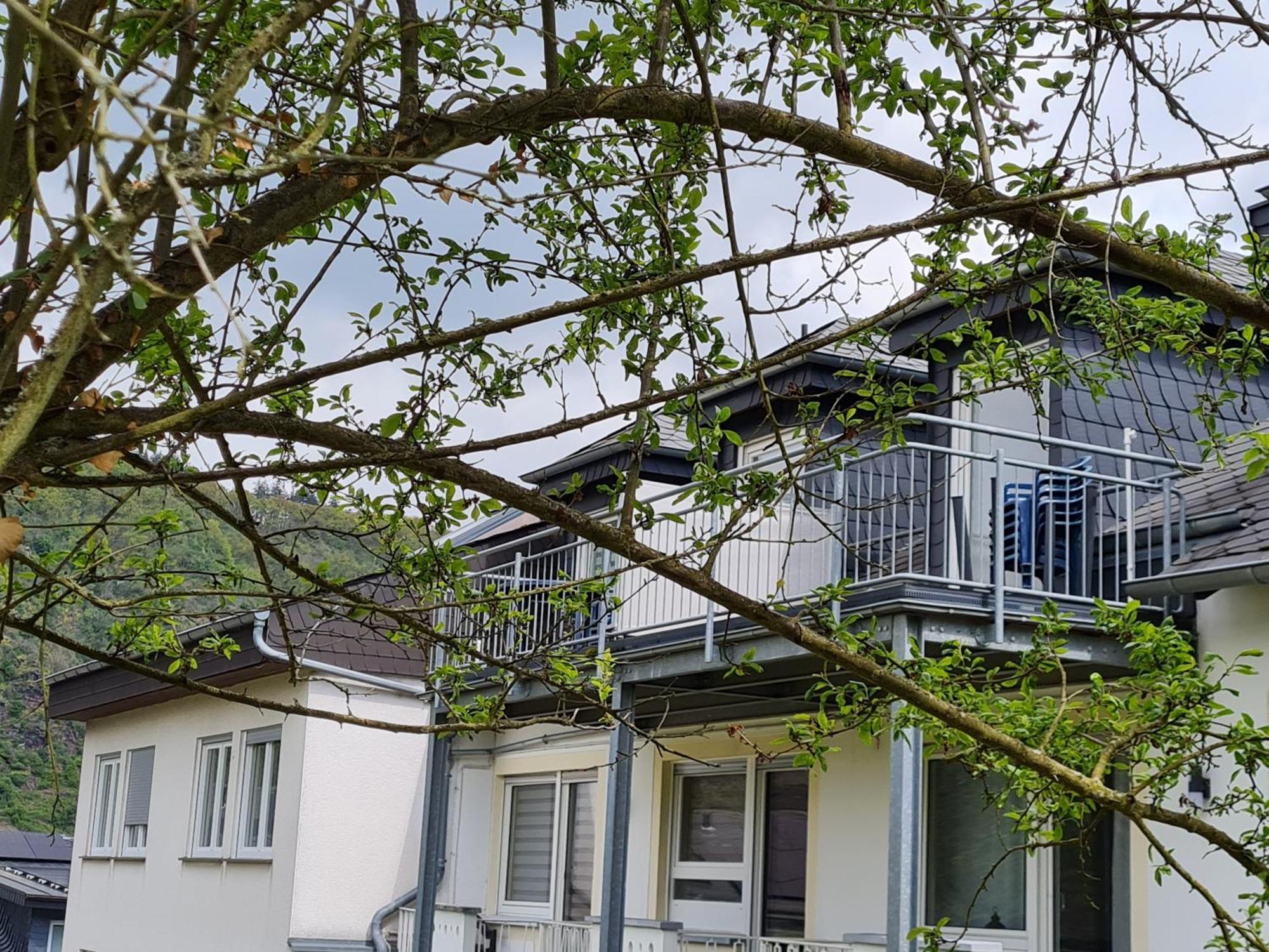 Ferienhaus Am Reilsbach Кохем Экстерьер фото